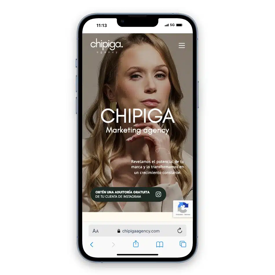 Chipiga Agencia de Redes Sociales