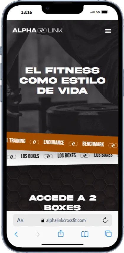 Alpha Link Crossfit