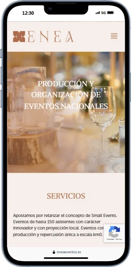Enea Eventos Organizadores